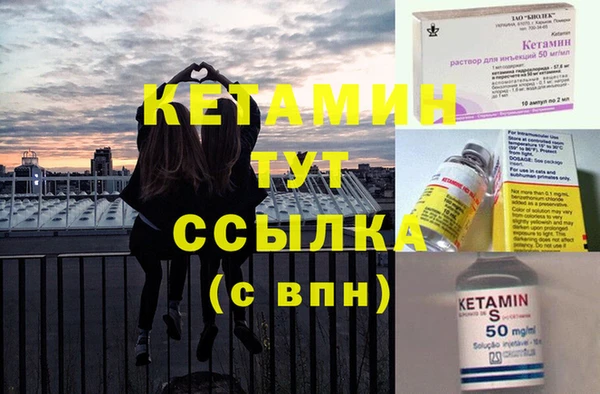 шишки Надым