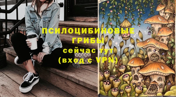 дживик Арсеньев