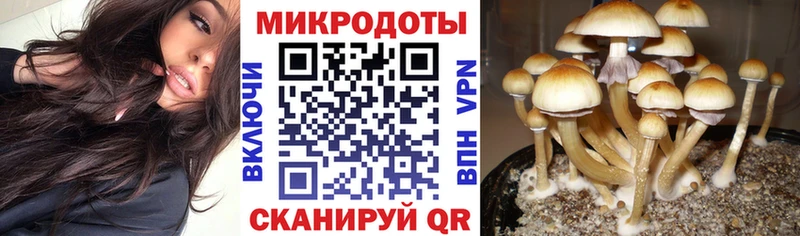 Галлюциногенные грибы MAGIC MUSHROOMS  цена   Рыбное 